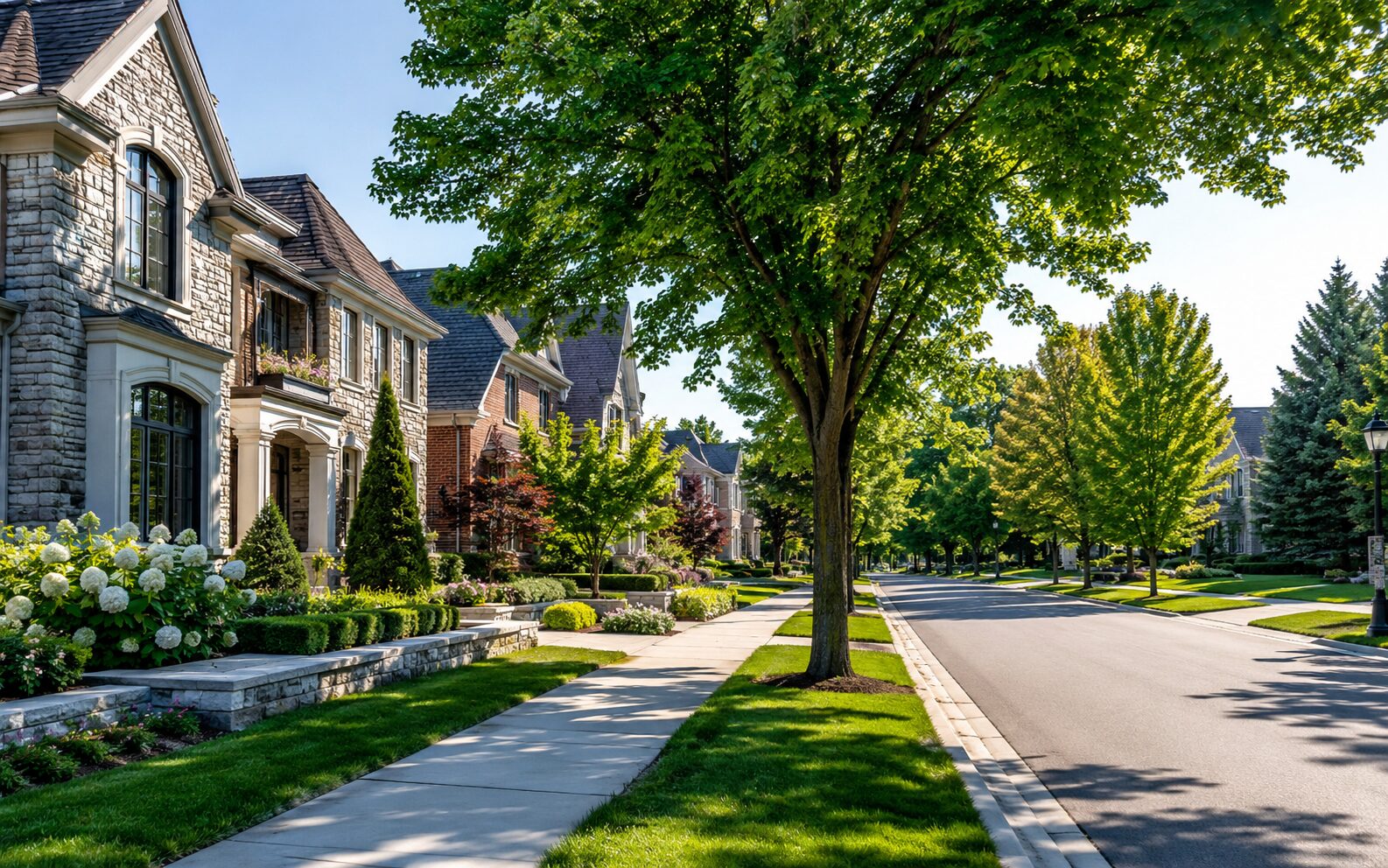 Homes for sale in Bloomfield Hills MI neighborhood street